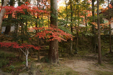 西明寺 - 09