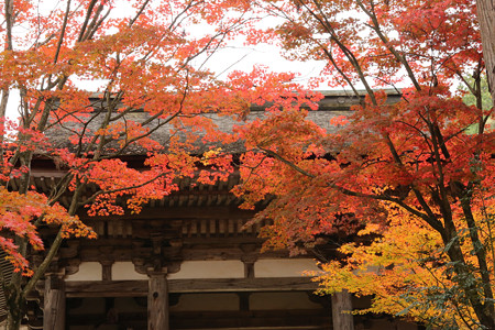 西明寺 - 18