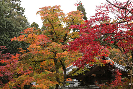 西明寺 - 19