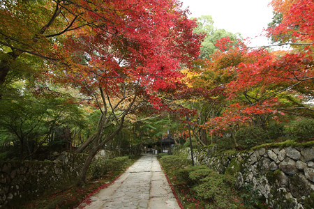 金剛輪寺 - 002