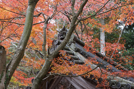 金剛輪寺 - 005