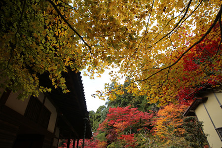 金剛輪寺 - 006