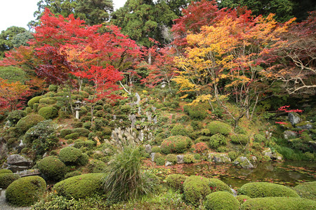 金剛輪寺 - 007