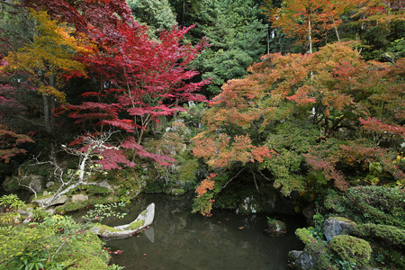 金剛輪寺 - 012