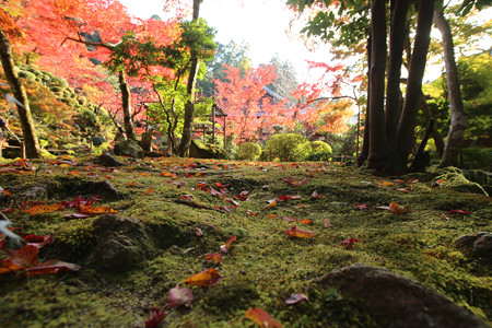 金剛輪寺 - 018