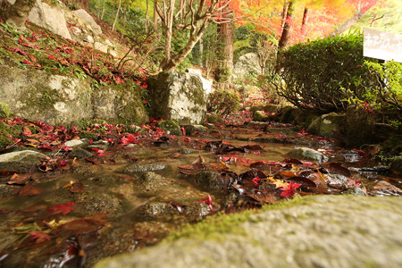 百済寺 - 07