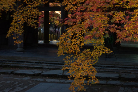 永源寺 - 025