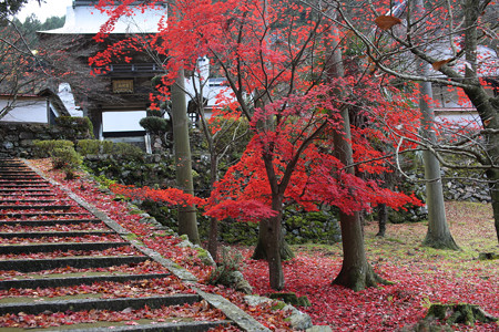 玉雲寺 - 01