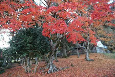 九手神社 - 01