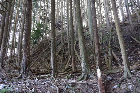 野間城 - 03