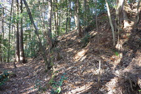 丸山城 - 08