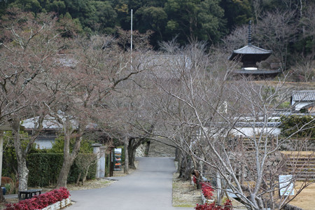 長保寺 - 03