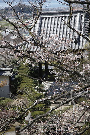 善応寺 - 08