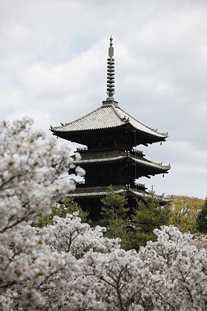 仁和寺 - 04