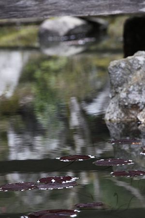 常照皇寺 - 07