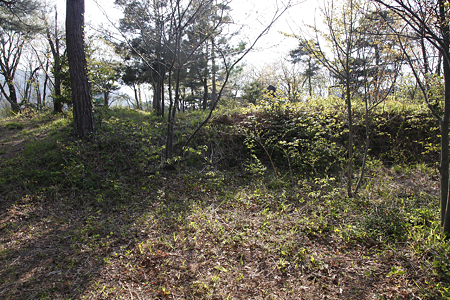 松ヶ岳城 - 03