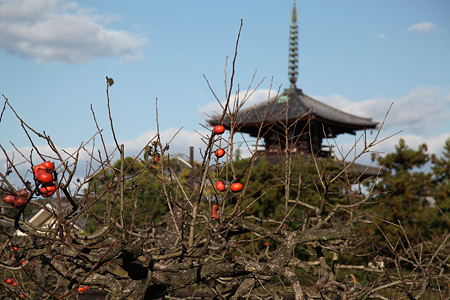 法輪寺 - 01