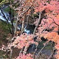 渓谷の紅葉