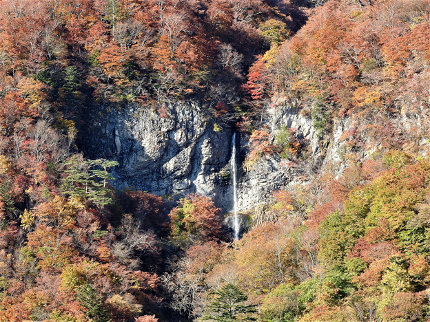 唐滝