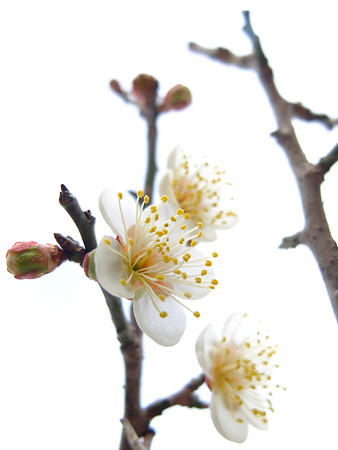 DSCF6069