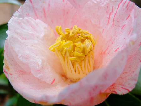 DSCF5829