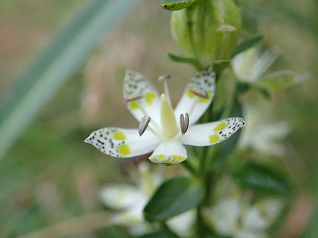 P9230263