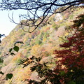 rs-141114_43_袋田の滝付近から上を (2)