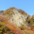 rs-141114_50_袋田の滝付近の山 (19)
