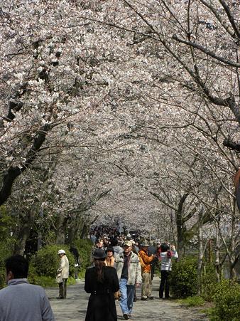 DSCN3826