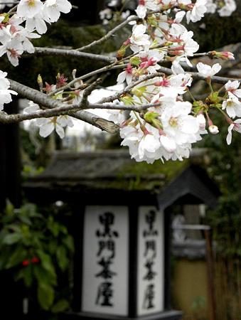 DSCN3843