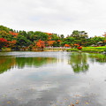 日本庭園の池のまわりも