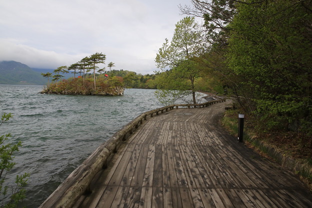 Photos: 140518-3東北ツーリング・十和田湖・乙女の像への道