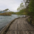 Photos: 140518-3東北ツーリング・十和田湖・乙女の像への道