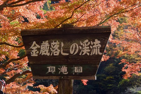 金蔵落としの渓流