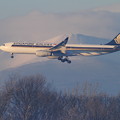 Photos: A330-300 9V-STP  SIA [SQ]