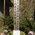 Photos: うな太郎の墓