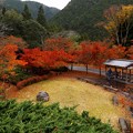 DSCF5852s-