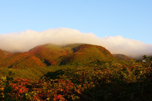 茶臼岳の紅葉