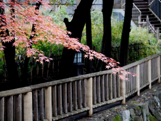 写真: 4