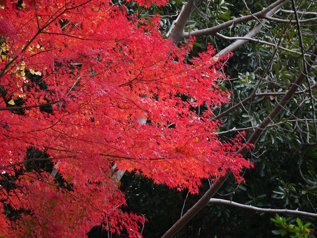 写真: 5