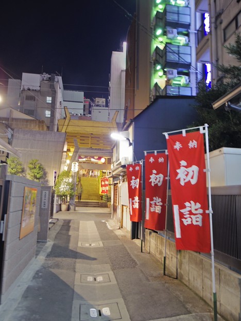 写真: 8