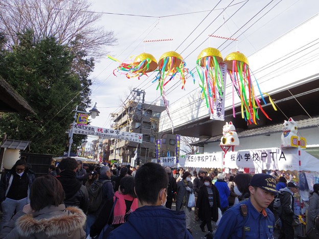 写真: 13