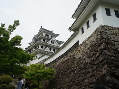 R0059904