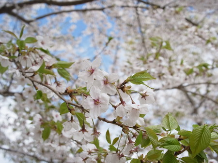R0059993