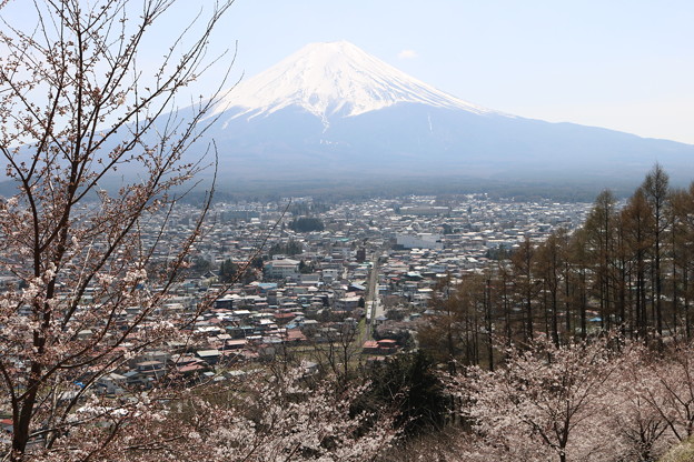 新倉山から富士山を望む