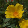 花_公園 F0407