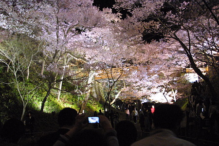 桜雲橋　１