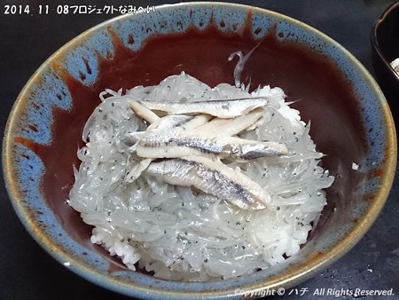 2014-11-08プロジェクトなみへい (3)
