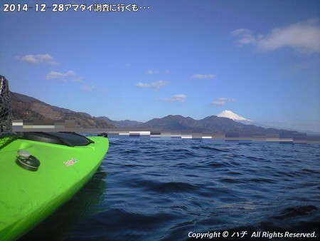 2014-12-28アマダイ調査に行くも・・・ (3)