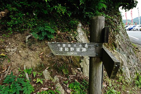1106231128_DSC_2160